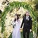 HAPOWELL Artificial Ivy, Galanga Plant Leaves, 12 Strands of 87-Foot Artificial Galanga Green Fake Ivy Leaves, Hanging Room, Flower Office Wedding Party Wall Outdoor Decoration