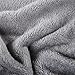 Balichun Luxury 330 GSM Fleece Blanket Super Soft Warm Fuzzy Lightweight Bed or Couch Blanket Twin/Queen/King Size(Queen,Grey)
