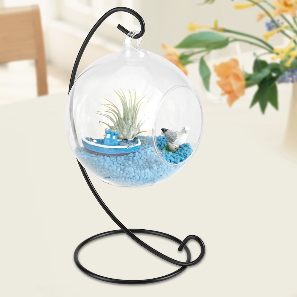 fosa Vase en Verre pour les plantes et fleurs boule pot suspendu avec