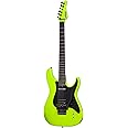 Schecter Sun Valley Super Shredder with Floyd Rose and Sustaniac - Birch Green