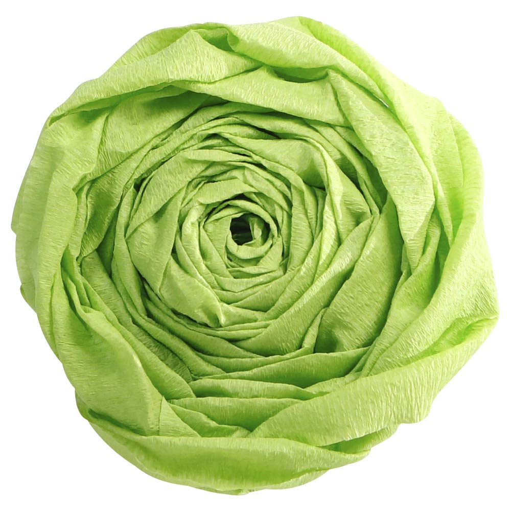Clairefontaine 901019C - Pack of 10 Sheets of Crepe Paper - Apple Green - Format 2x0.50m - Crepe 40% - Creative leisure for Adults and Children Arts Crafts