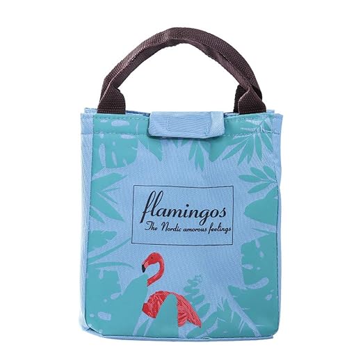 DaoRier 1pcs Bolsa Térmica Plegable Bolso Nevera Térmica Tela ...