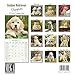 2025 2026 Golden Retriever Pups Calendar - Dog Breed Monthly Wall Calendar - 12
