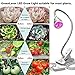 GreenLaren LED Grow Light with 24-Hour Mechanical Outlet Timer, 5W Plant Light with Spring Clamp and 360°Flexible Gooseneck Arm for Indoor Plant