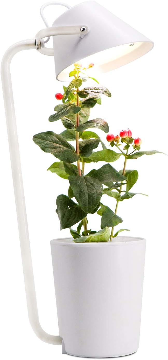 Best Aero Garden Seed Pod Kids