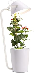 Hydroponics Growing System, Indoor Herb Garden Starter Kit w/ LED Grow Light, Smart Garden Planter for Home Kitchen,Full Spectrum, for Seedling Blooming, Perfect for Bedside, Hydroponic Garden