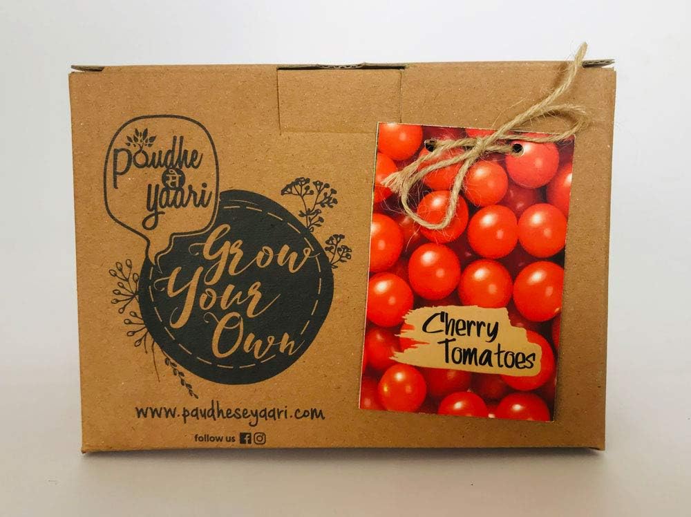 Paudhe Se Yaari Grow Your Own Cherry Tomatos Kit. Indoor Outdoor Herbs Vegetables Make Your Own/Do It Yourself Kitchen Garden Starter Kit Contains Coir Pot Soil Mix and Cherry Tomatos Seeds.
