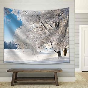 Winter Park in Snow - Fabric Wall Tapestry Home Decor - 51x60 inches
