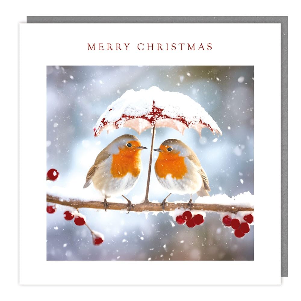 Tracks Publishing Charity Christmas Cards Pack of 5 - Charity Christmas Cards with Robins Under A Snowy Umbrella Design - Eco-Friendly Xmas Cards Multipack with Envelopes