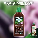 Maxicrop All Purpose Plant Growth Stimulant 1L Seaweed Based view 6