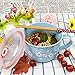 Whitenesser Asian Porcelain Noodle Bowls with Lid Japanese Style Microwavable Ceramic Ramen Bowl with Lid (Blue)