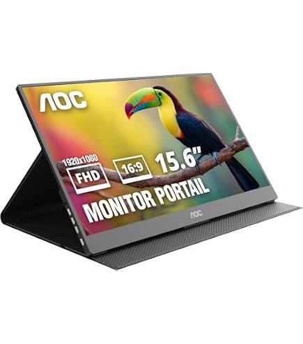 Amazon.com: ASUS MB169B+ 15.6in Full HD 1920x1080 IPS USB Portable