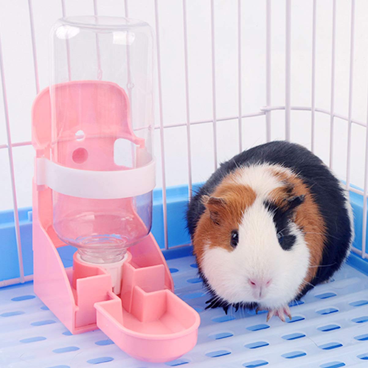 guinea pig self feeder