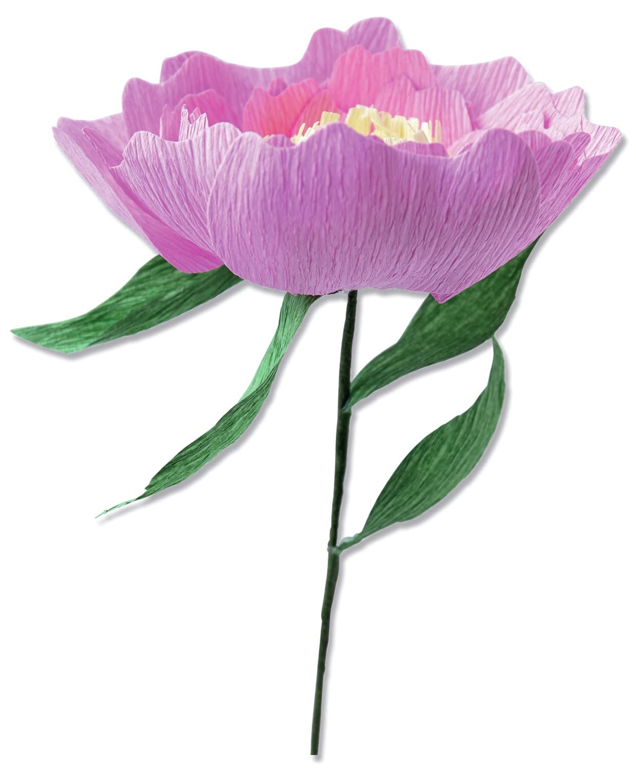 Sizzix Thinlits Flower Making Collection Die Set 5PK, Wild Peony, one Size