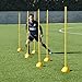 AGORA Portable Indoor/Outdoor Coaching Sticks - Set of 6