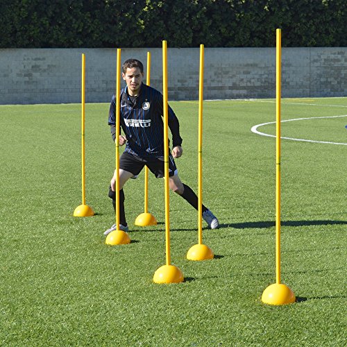 AGORA Portable Indoor/Outdoor Coaching Sticks - Set of 6