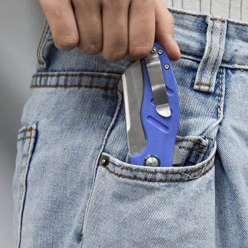 Kizer Knives Pocket Knife with Clip G10 Handles Material EDC Folding
