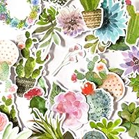 Navy Peony Watercolor Cactus Stickers and Succulent Decals | Cute Aesthetic Stickers for Water Bottles, Phone Cases, and Laptops | Trendy Stickers for Planners, Scrapbooking, and Bullet Journalling