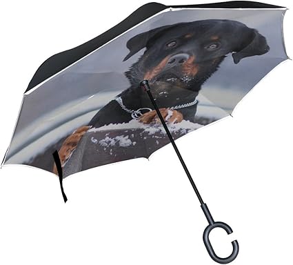 large dog umbrella