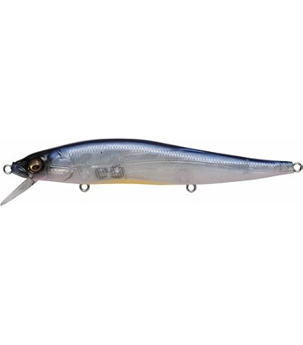 Amazon.com : Megabass Vision 110 JR Plus ONE French Pearl OB