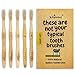Natural Classic Bamboo Toothbrushes (Pack of 5) for Adults With Soft Bio-Based Nylon Bristles - Individually Packed & Numbered, Organic Compostable Plastic Free Packaging