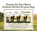 Instinct Raw Boost Grain Free Duck & Turkey Meal Formula Natural Dry Dog Food By Nature'S Variety, 23.5 Lb. Bag