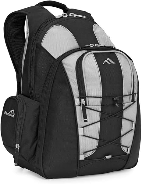 brenthaven laptop backpack