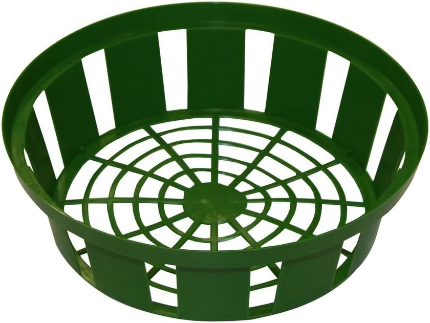 Plaques & Wall Art - Xclou Flower Bulb Planting Tray in Green, Onion Planting Basket Made of Plastic with 31 cm Diameter in a Set of 3, Planting Bowls for Flower Bulbs, 3 Planting Baskets for Bulbs for The Garden