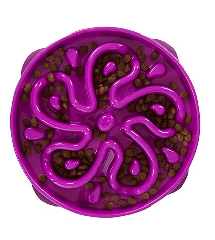 Slow Feeder Dog Bowl Fun Feeder Stop Bloat Bowl For Dogs By