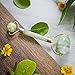 Inceptive Jade Roller - Healing Stone Massaging Tool and Rollers For Face, Neck, Eyes - Spa Rejuvenating Rolling Massager Tools For Anti-Aging, Skin Brightening, Firming - Jade Facial Roller