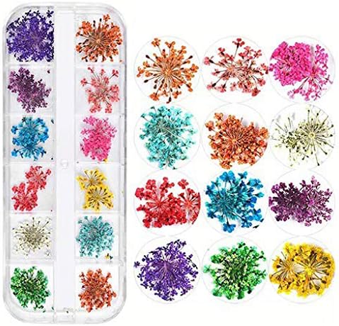 Yuanhaourty 1 Box Mold Filler Real Pressed Flower Leaves Dried Daisy Flower Resin Art Jewelry Making Decoration Materials