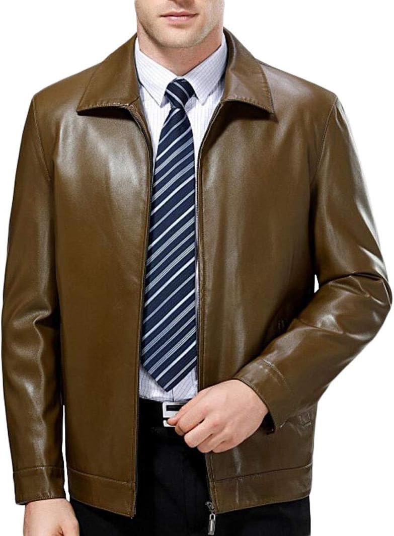 ZJEXJJ Men's Casual Leather Jacket Spring and Autumn Slim Jacket Jacket Trendy Youth Leather Jacket (Color : BROWN, Size : L)