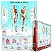 EuroGraphics Human Body Puzzle (1000-Piece)