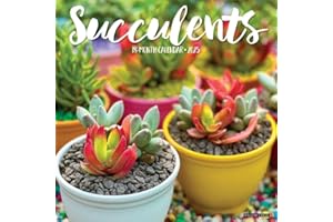 Succulents 2025 12" x 12" Wall Calendar