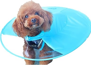 waterproof dog hat