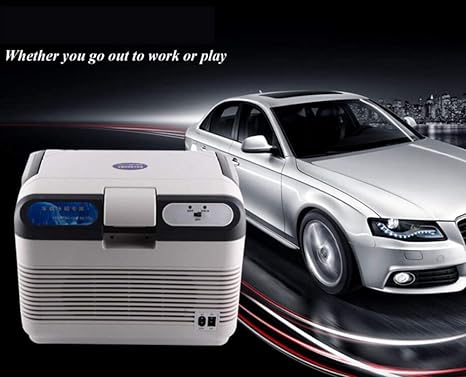 Feng Auto Companion - Nevera eléctrica portátil (12L, CA 240 V ...
