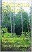 Righteous Soldiers: Righteous Survival EMP Saga, Book 4 by 
