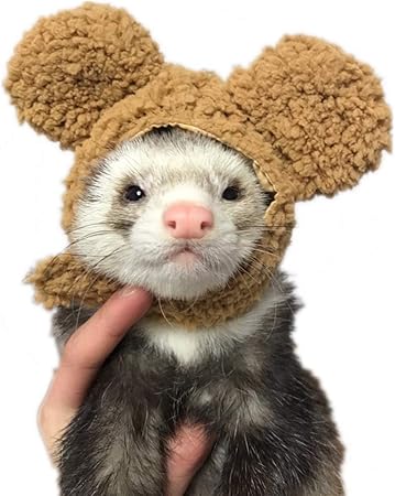 ferret hat