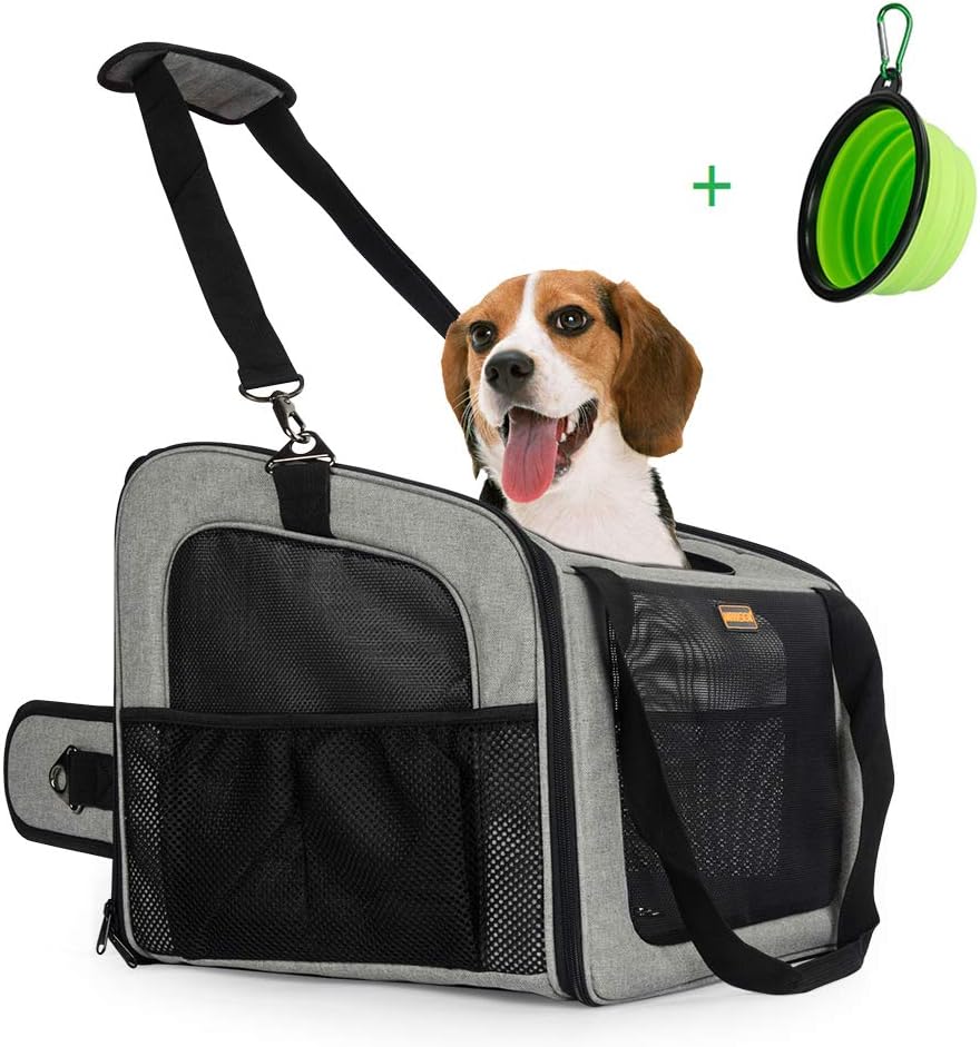 Best pettom pet car seat carrier