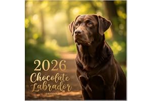 Chocolate Labrador Calendar 2026: 12 Months of Joyful Puppies in Vivid Realism 8.5 x 8.5" Monthly Photo Planner