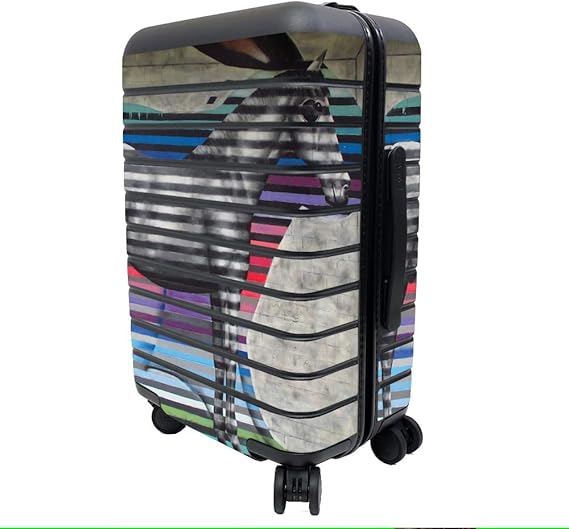 away the carry on amazon