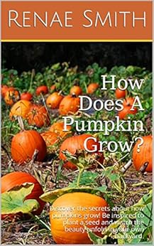 How Does A Pumpkin Grow Discover The Secrets About How Pumpkins Grow Be Inspired To Plant A