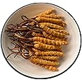 10 Gram 100% Wild Himalayan Cordyceps Sinensis Chinese Caterpillar Fungus Cordyceps Sinensis Wild Cordyceps,Dong Chong Xia Cao,Memory Support Immune Support,Natural Organic Herbal Supplements.