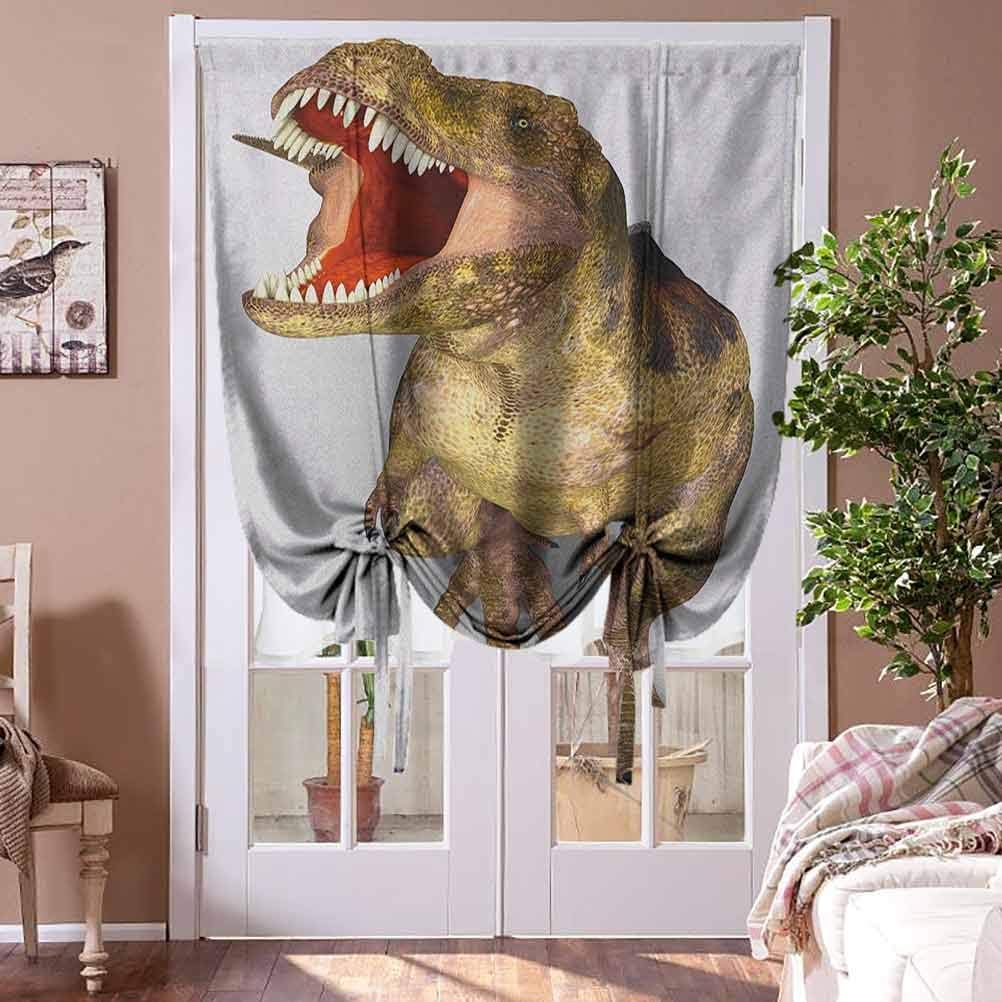 Roman Shades Dinosaur Kids Blackout Curtains Image of