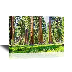 Watercolor Style Canvas Wall Art - The Famous Big Sequoia Trees are Standing in Sequoia National Park - Gallery Wrap Modern Home Art | Ready to Hang - 12x18 inches