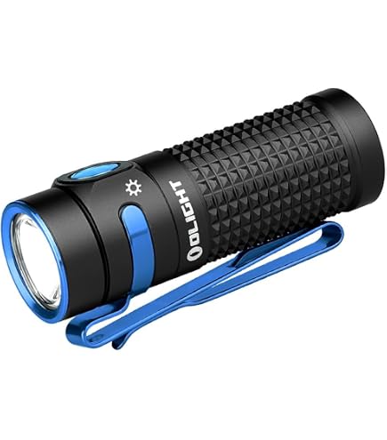 OLIGHT Two 550mAh 16C05-10C Rechargeable Battery S1R II (1000 lumens Version), Perun MINI or Baton3 Flashlight and an Organizer : Tools & Home Improvement
