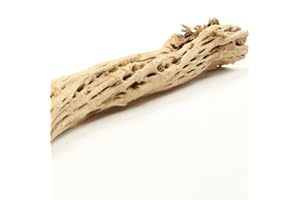 Koyal Wholesale 6" Cholla Wood, Cholla Wood Aquarium Leopard Gecko Tank Accessories, Driftwood Aquarium, Hermit Crab Accessories, Drift Wood for Shrimp Tank, Aquarium Wood