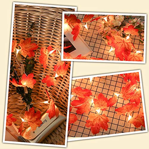 5 Pack Fall Maple Leaves String Light, 50 Feet 100 LED Light Fall Wreath Garland Decorations for Party Halloween Thanksgiving Harvest Autumn Indoor Outdoor Home Patio Garden Battery Powered by Qiwoo