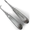 DEXA DENTAL Root Elevator Set – Luxating Periotome, Apical Molt Osteotome, Root Extraction Instruments, Professional Oral Implant Tools - 2 Pcs