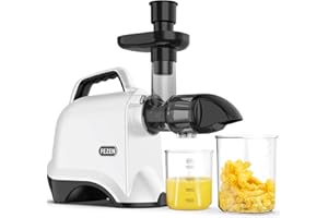 Fezen Juicer Machines for Vegetable and Fruit, High Juice Yield, Slow Masticating Juicer Easy to Clean with Brush, Portable Handle & Reverse Function & Quiet Motor, Dishwasher Safe, White